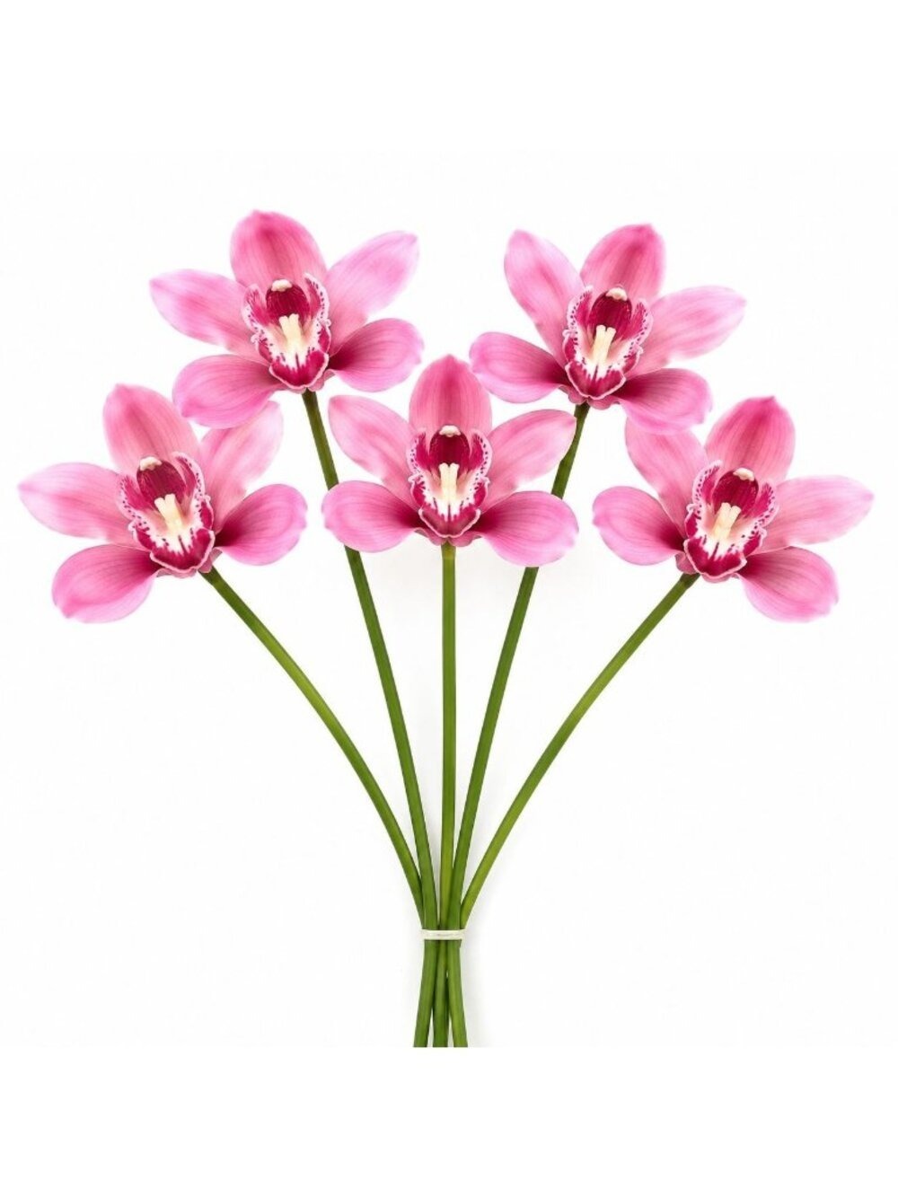 Artificial Cymbidium Orchid Stems Soft Pink Rose Burgundy Faux Orchid Bouquet Re